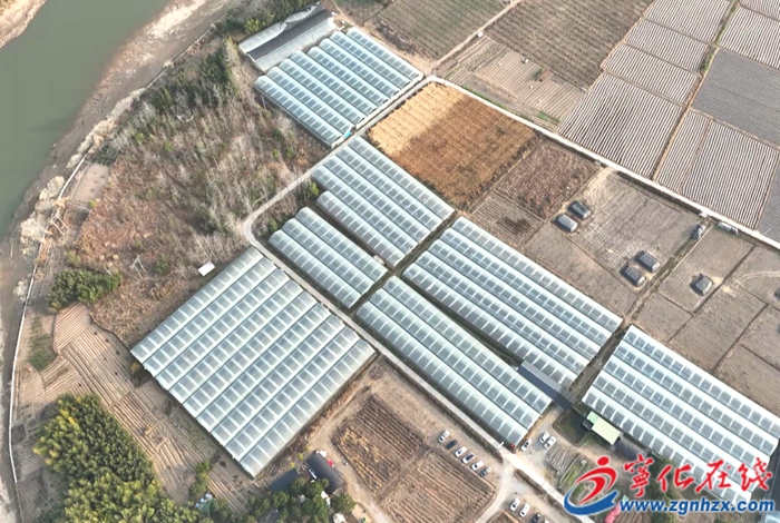 城南镇：农旅融合新发展  露营采摘乐无穷