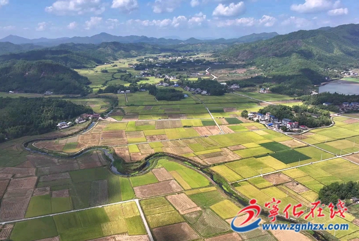 宁化：机械化收割奏响丰收乐章