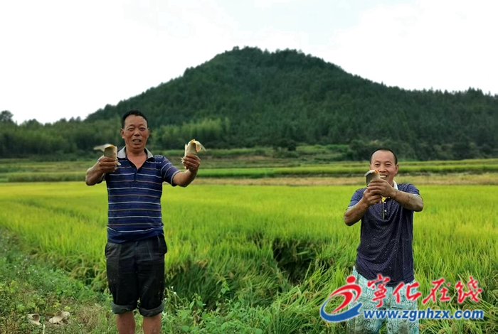 河龙乡：生态种养，助民增收