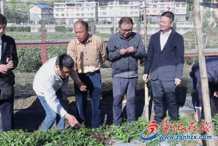 水茜镇水茜村:“科技村落”通过验收 科技赋能乡村振兴