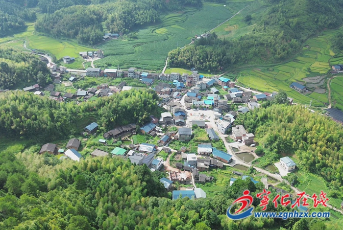 方田乡:竹荪产业“破土”生金